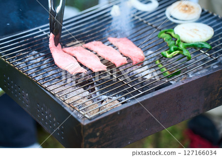 Camping, outdoor, barbecue, BBQ, grilled meat, charcoal fire Camping, outdoor, barbecue, BBQ, grilled meat, charcoal fire 127166034