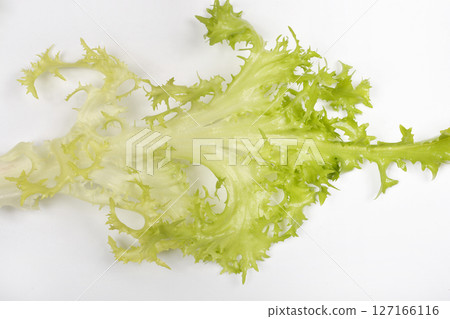 Curly endive Curly endive 127166116
