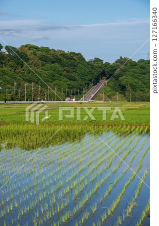 Scenery of Minowa farmland, Suido-zaka 127166340