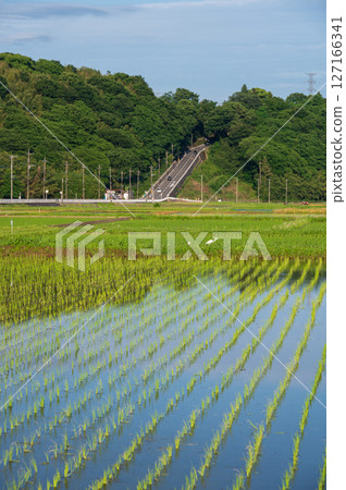 Scenery of Minowa farmland, Suido-zaka 127166341
