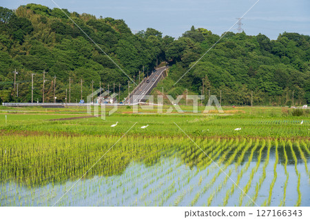 Scenery of Minowa farmland, Suido-zaka 127166343