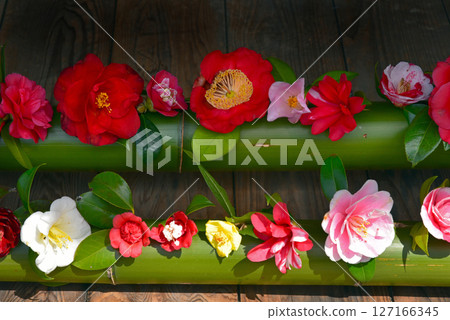 Camellia flowers in a bamboo vase Camellia flowers in a bamboo vase 127166345