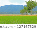 從田間小路看到的插秧後的鄉村風景（新潟縣） 127167329
