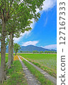 從田間小路看到的插秧後的鄉村風景（新潟縣） 127167333
