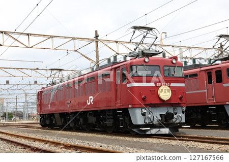 EF 81 electric locomotive EF 81 electric locomotive 127167566