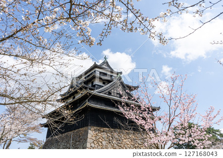 Shimane Prefecture: The National Treasure Matsue Castle tower surrounded by cherry blossoms Shimane Prefecture: The National Treasure Matsue Castle tower surrounded by cherry blossoms 127168043