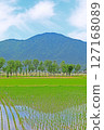 插秧後的鄉村風景（新潟縣） 127168089