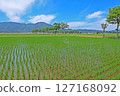 插秧後的鄉村風景（新潟縣） 127168092