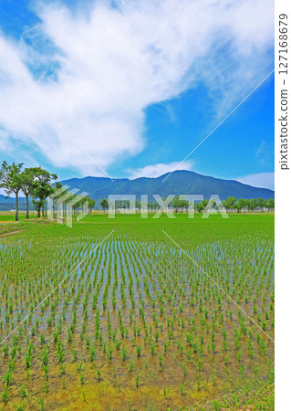 插秧後的鄉村風景（新潟縣） 127168679
