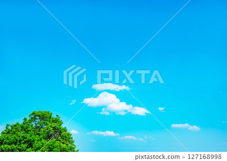 藍天，白雲和樹林 127168998