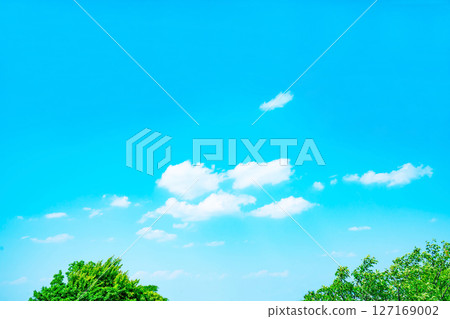 藍天,白雲和樹林 藍天,白雲和樹林 127169002