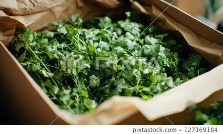 Fresh herbs in eco-friendly box for culinary use 127169184