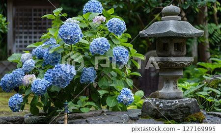 有繡球花和石燈籠的日本庭園景觀 有繡球花和石燈籠的日本庭園景觀 127169995