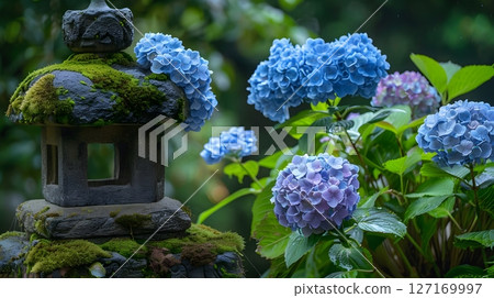 A Japanese garden landscape with hydrangeas and stone lanterns A Japanese garden landscape with hydrangeas and stone lanterns 127169997