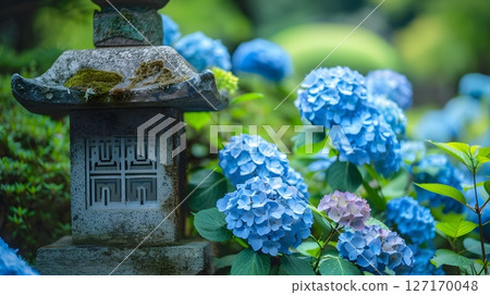 有繡球花和石燈籠的日本庭園景觀 有繡球花和石燈籠的日本庭園景觀 127170048