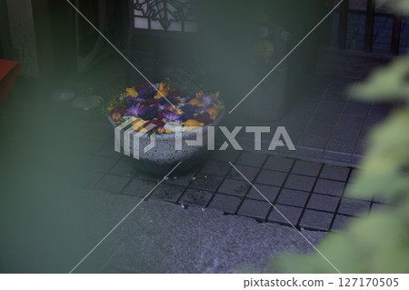 Flower water fountain at shrine, Japanese chozuya 127170505