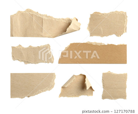 Assorted Ripped Kraft Paper Pieces 127170788
