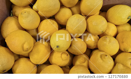 Fresh Yellow Lemons Piled in a Box Displaying Vivid Color and Texture. Lemon stack. A vibrant image of fresh, ripe lemons top view. Rich vitamin c, natural and fresh lemon stack Fresh Yellow Lemons Piled in a Box Displaying Vivid Color and Texture. Lemon stack. A vibrant image of fresh, ripe lemons top view. Rich vitamin c, natural and fresh lemon stack 127170880