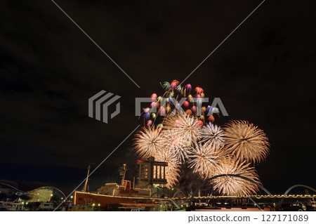 Fireworks and music performed together <ISOGAI Fireworks Theater, Nagoya Port> Fireworks and music performed together <ISOGAI Fireworks Theater, Nagoya Port> 127171089