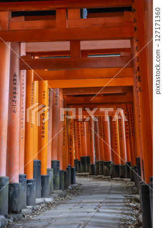 Kyoto Fushimi Inari Taisha Shrine Thousands of torii gates Kyoto Fushimi Inari Taisha Shrine Thousands of torii gates 127171360