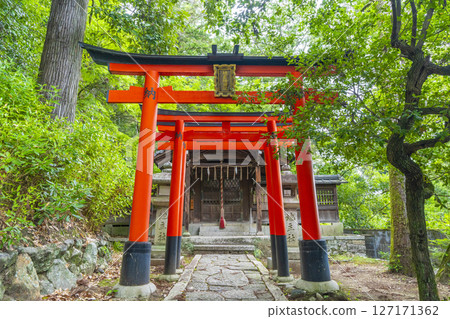 今宮神社 地州稻荷神社 新綠季節（京都市北區四野今宮町） 127171362
