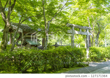 Fresh greenery in Kyoto - Adashino Nenbutsu Temple and Tenmangu Shrine Fresh greenery in Kyoto - Adashino Nenbutsu Temple and Tenmangu Shrine 127171364