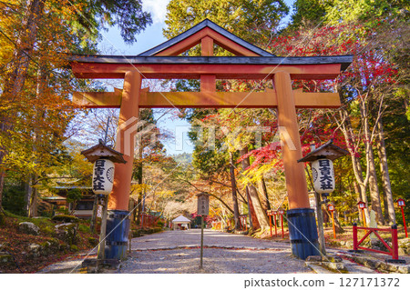 Hiyoshi Shrine Sanno Torii and autumn leaves (Sakamoto, Otsu City, Shiga Prefecture) 127171372