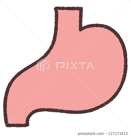 Simple stomach illustration Simple stomach illustration 127171613