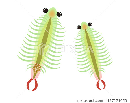 蝦子的可愛插圖資料4 蝦子的可愛插圖資料4 127171653