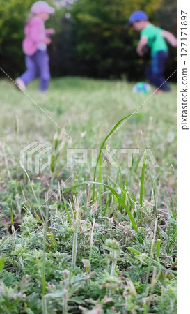 Teamwork. Group of children in spring in park on green grass with ball. Children silhouette playing ball in the park. Children summer vacation in park. Schoolchildren play with ball in meadow in grass Teamwork. Group of children in spring in park on green grass with ball. Children silhouette playing ball in the park. Children summer vacation in park. Schoolchildren play with ball in meadow in grass 127171897