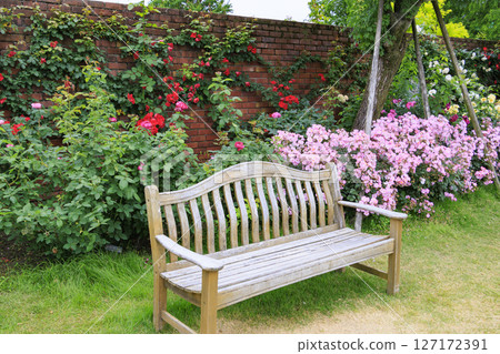 Roses in full bloom at Lake Biwa Otsukan English Garden 127172391