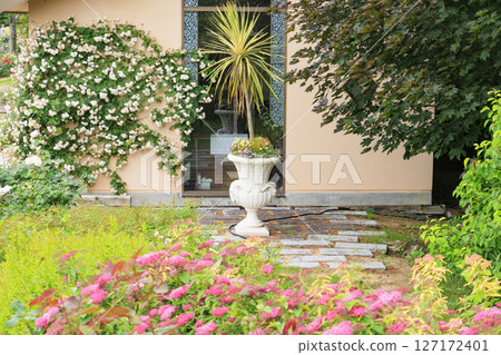 琵琶湖大津館英式花園玫瑰盛開 127172401