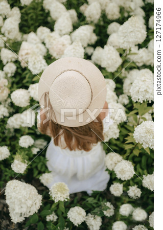 Girl in Straw Hat Surrounded by White Hydrangeas 127174966