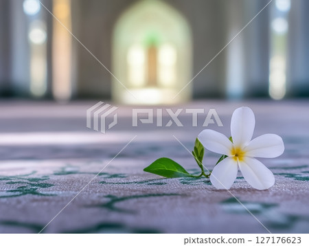 Single White Plumeria Flower on Carpet Peaceful Serenity Background Spa Bud Soft Leaf Calm Pure Hope 127176623