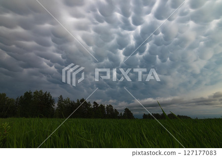 Big storm cloud over the fields mammatus clouds Big storm cloud over the fields mammatus clouds 127177083