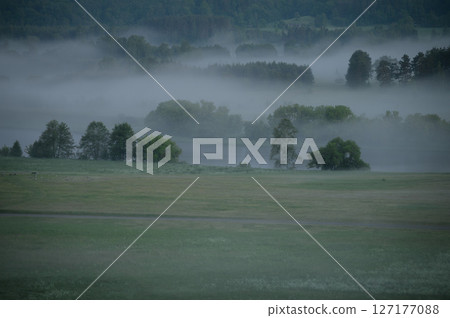 beautiful picture with river, meadow and fog 127177088