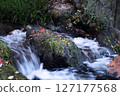 Flowing stream water 127177568