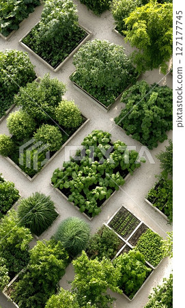 Lush green geometric garden with diverse plant beds from above. 127177745
