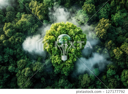 Lush green trees surround a light bulb shape made of foliage, representing innovation in sustainability amid a vibrant forest environment. 127177792