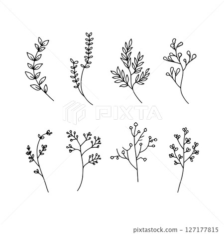 Thin Stem Flowers. Minimal flower illustrations with thin stems and delicate shapes, ideal for elegant eco-themed or minimalist projects. 127177815