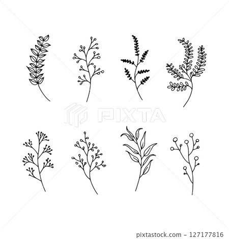 Botanical Foliage Mix. Diverse collection of hand-drawn botanical foliage, combining ferns, leaves, and herbs for natural compositions. Botanical Foliage Mix. Diverse collection of hand-drawn botanical foliage, combining ferns, leaves, and herbs for natural compositions. 127177816