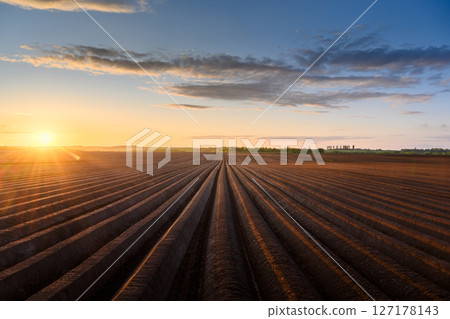Sunset on plowed agricultural field Sunset on plowed agricultural field 127178143