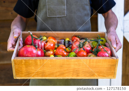 Wooden box full of picked tomatoes in farmers hands 127178150