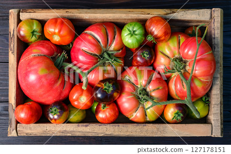 Wooden box full of ripe tomatoes just picked from own garden Wooden box full of ripe tomatoes just picked from own garden 127178151
