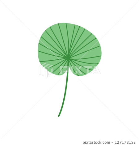 Lotus Style Tropical Leaf Green Botanical Vector Illustration 127178152