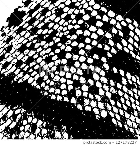 Snake skin monochrome background. Not AI, Vector illustration Snake skin monochrome background. Not AI, Vector illustration 127178227