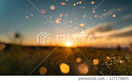 Grassland and sunrise with morning dew and sparkling light / Beautiful blurred photo of a fantastic morning landscape 127178605