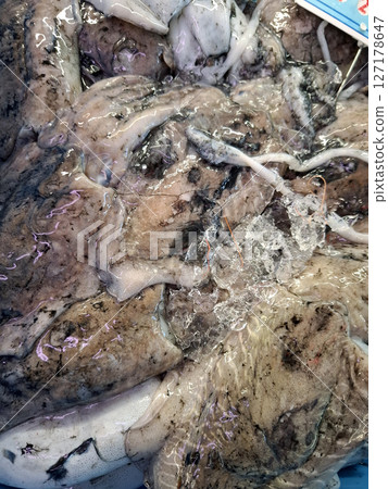 Fresh sea cuttlefish sit on display at the bustling Denia fishing market in Spain, reflecting the region's rich seafood culture and variety. This market attracts many seafood enthusiasts. 127178647