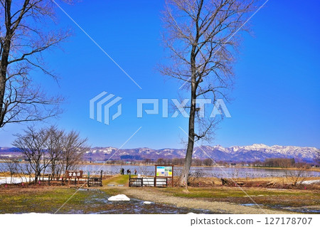 A view of Miyajima-numa, a stopover spot for wild geese 127178707