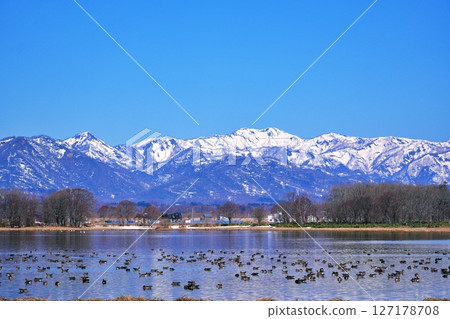 大雁棲息地宮島沼的景色 127178708